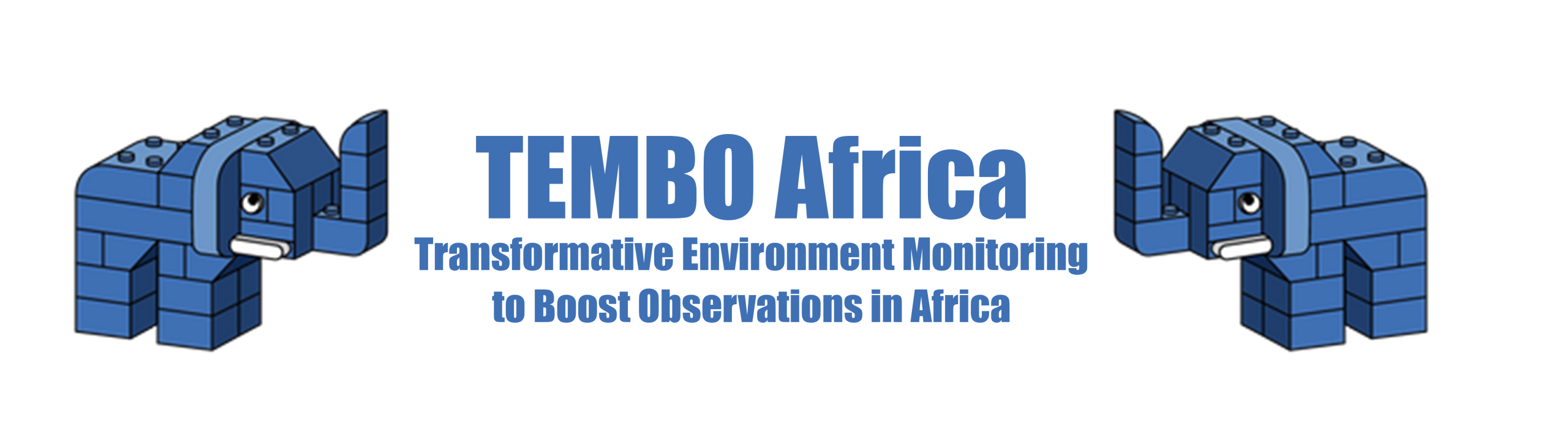 TEMBO Africa